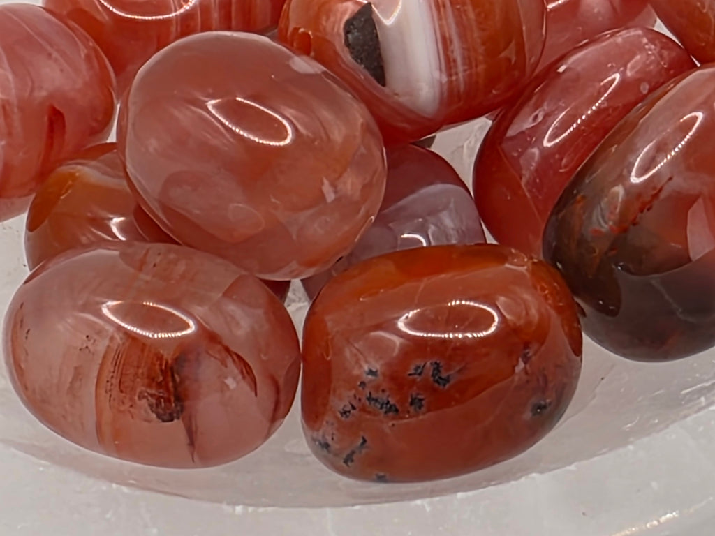 Carnelian- 19mm Focus Bead  Available for Custom Design