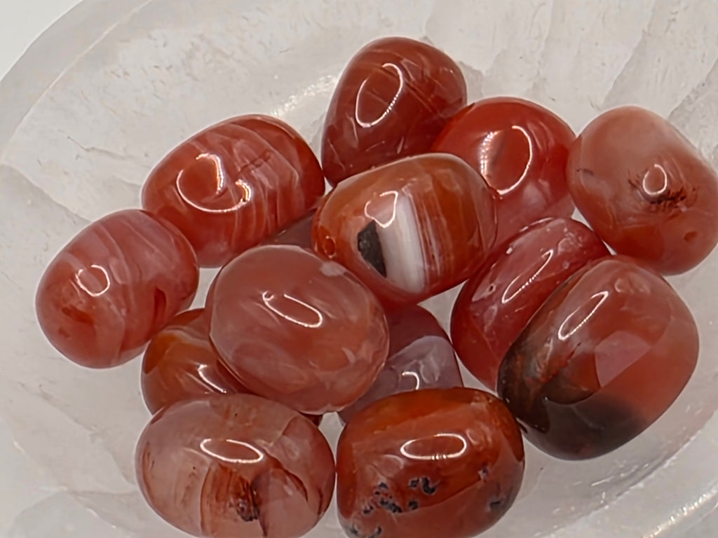 Carnelian- 19mm Focus Bead  Available for Custom Design