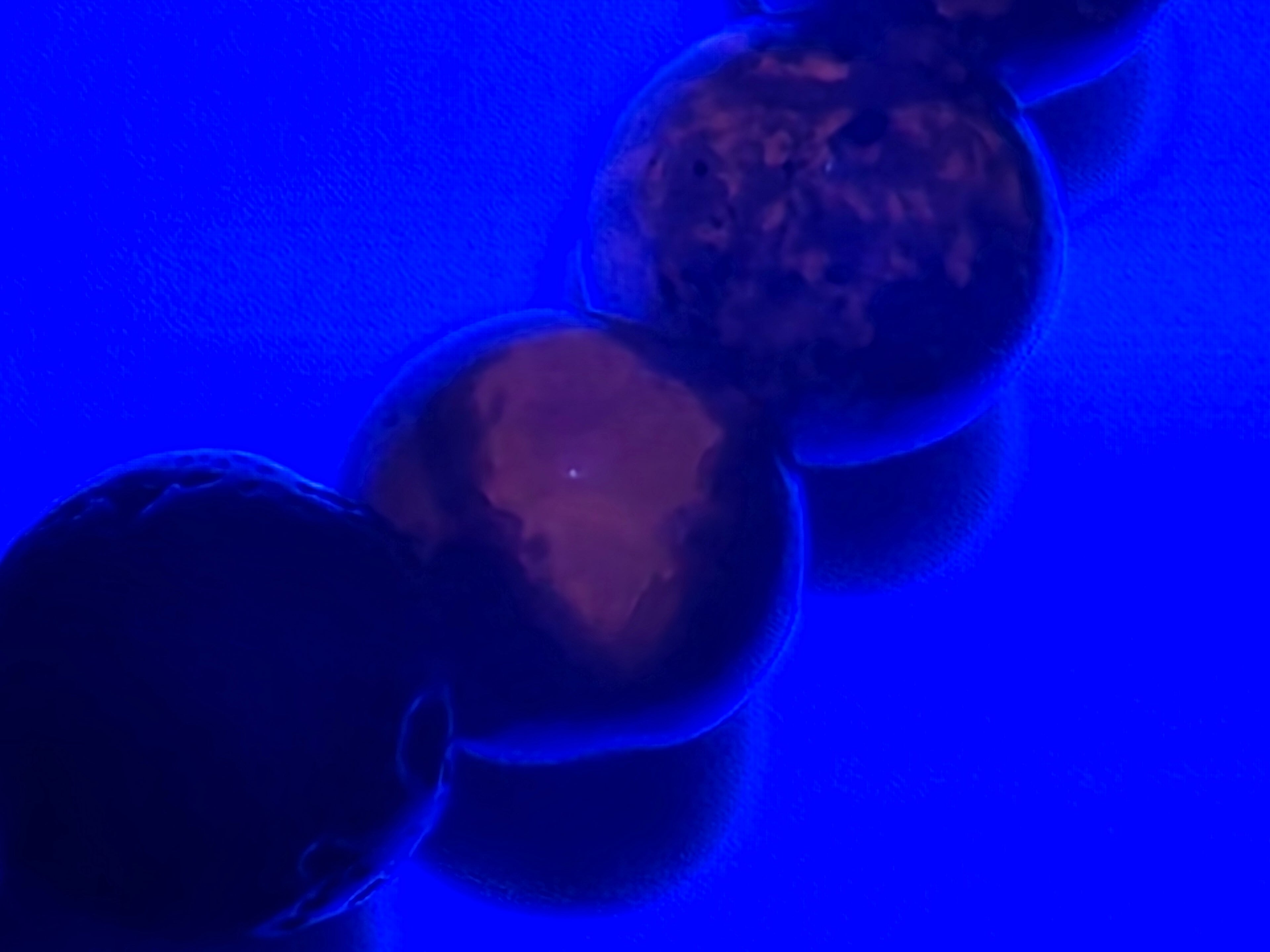 Fire & Lava Adjustable Bracelet  Grounding • Inner Fire • Protection